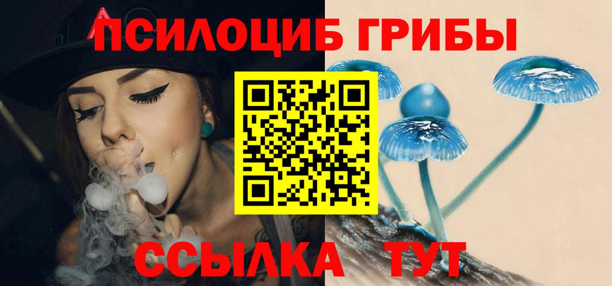купить  сайты  Вход с VPN  Ртищево  Галлюциногенные грибы Cubensis  Галлюциногенные грибы Magic Shrooms 